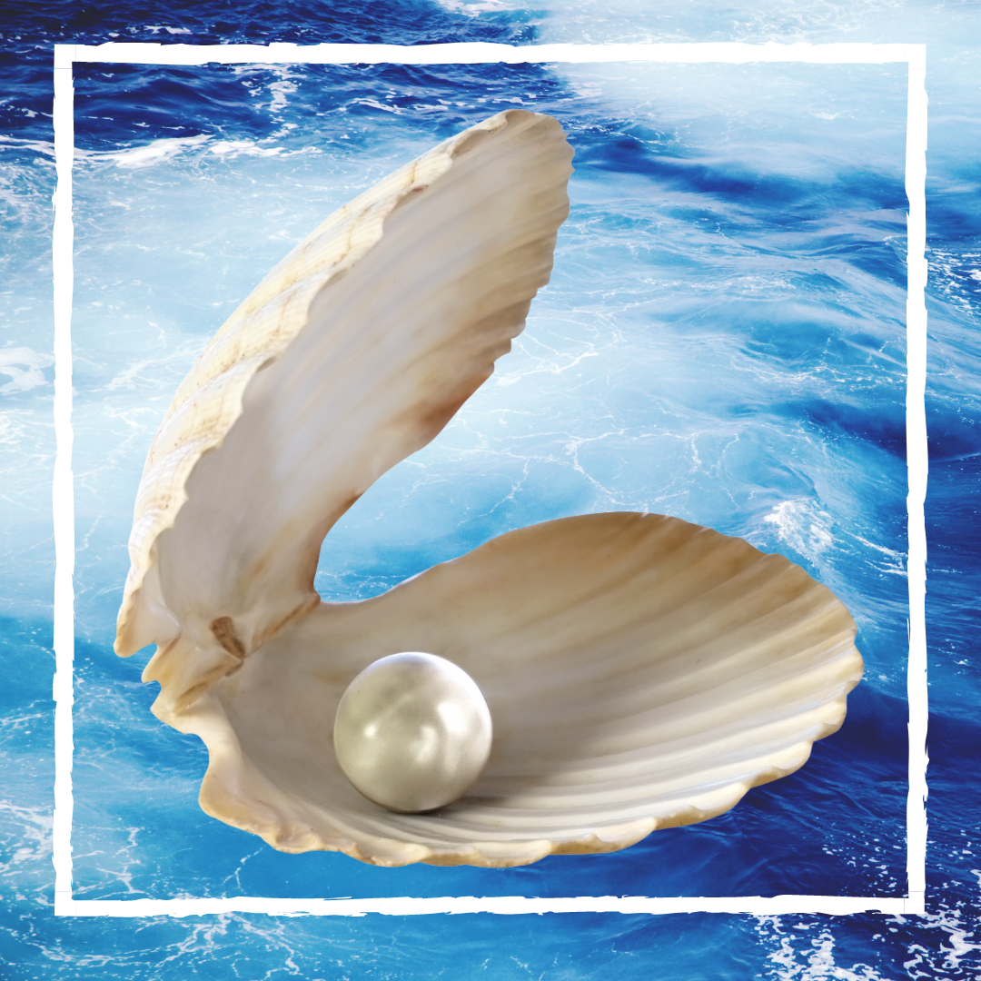 Літо, море, мушлі, перлина